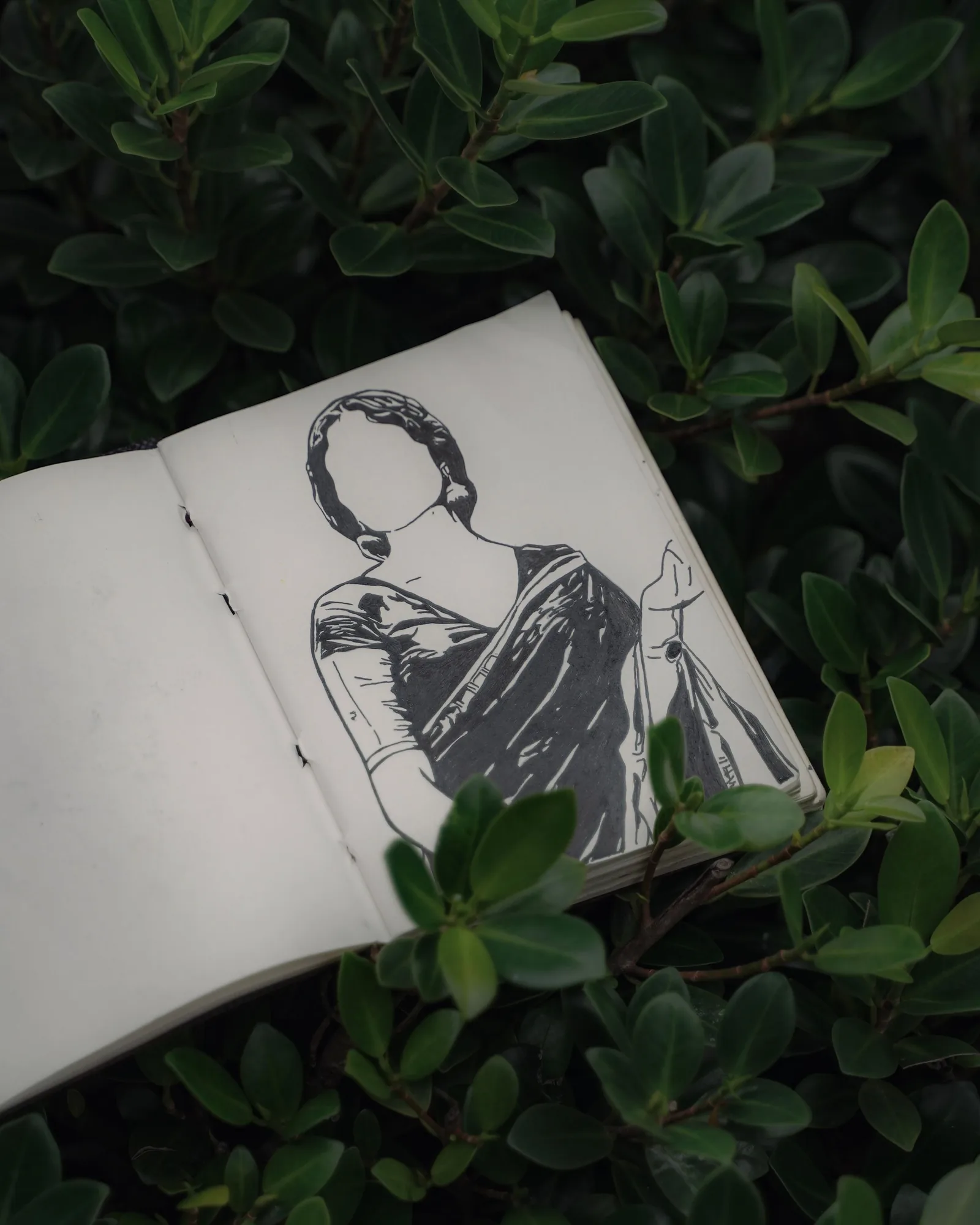 Line drawing of a woman in a sketchbook