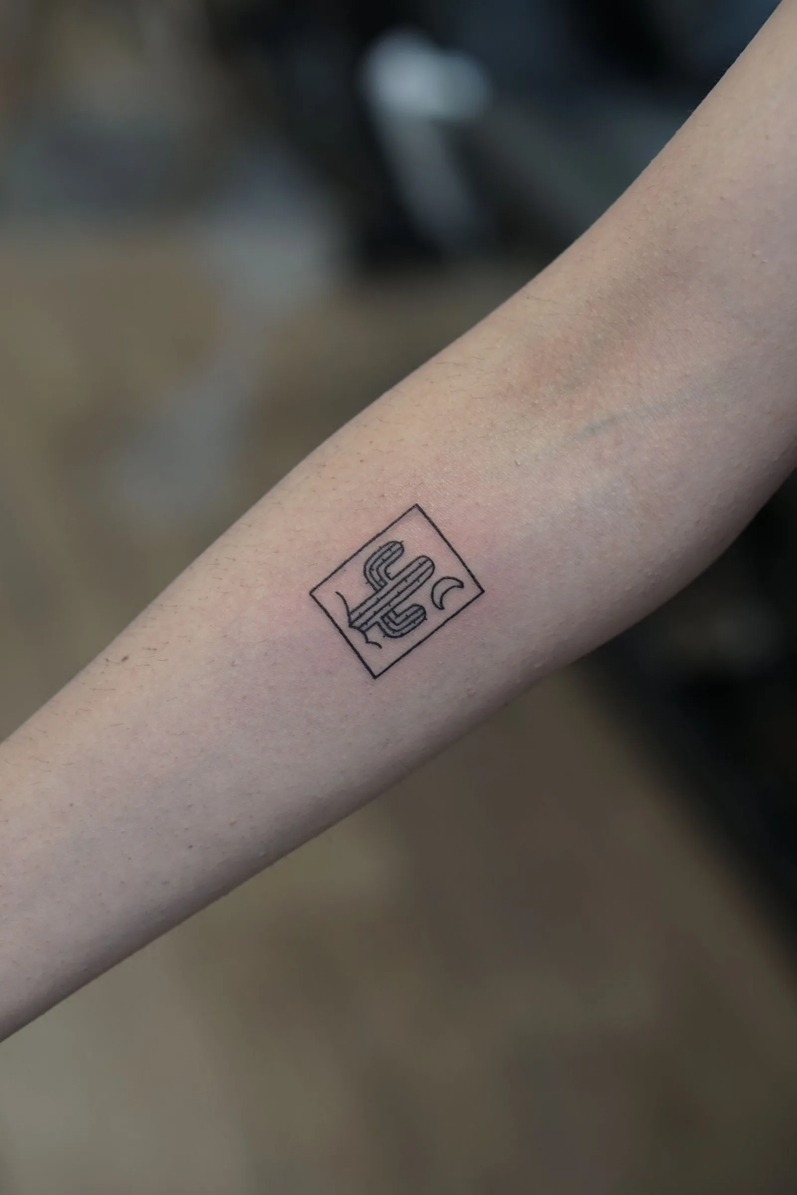 Small cactus line drawing on a forearm