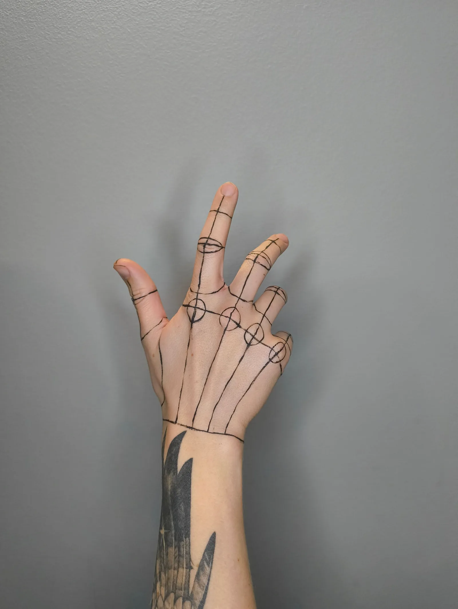 Hand bones drawn in fine line on a hand
